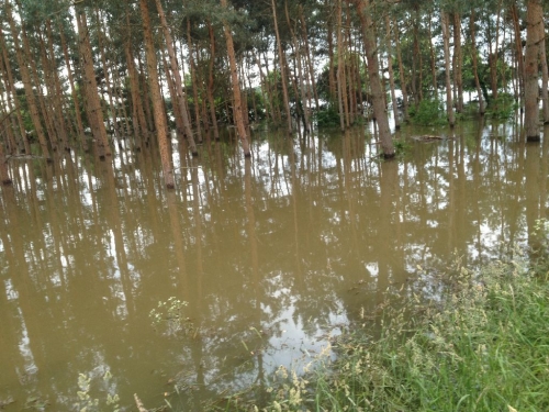 Hochwasser Juni 2013_188