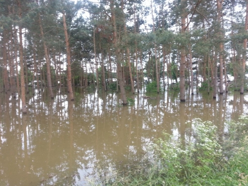 Hochwasser Juni 2013_70