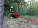 Einsatzuebung Waldbrand 2