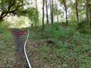 Einsatzübung Schwerpunkt Waldbrand
