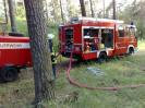 Einsatzübung Schwerpunkt Waldbrand