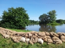 Hochwasser Juni 2013_10