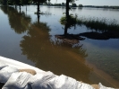 Hochwasser Juni 2013_172