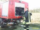 Brand Holzhaufen 11