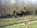 Brand Holzhaufen 3