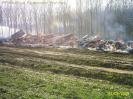 Brand Holzhaufen 4