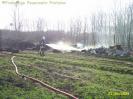Brand eines Holzhaufens 01.04.2009