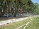 Waldbrand Nahe des Campingplatzes 4