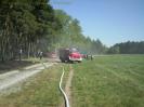 Waldbrand Nahe des Campingplatzes 5