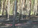 Waldbrand Nahe des Campingplatzes 6