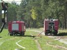 Waldbrand Waldseestrasse Gommern