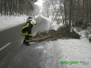 Verkehrshindernis 24.12.2010 11.01 Uhr