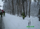 Verkehrshindernis 28.12.2010 11.25Uhr