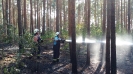  Waldbrand AWG-See 07.08.2015