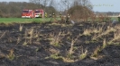 Grasnarbenbrand  bei Ranies am 11.04.2015_4