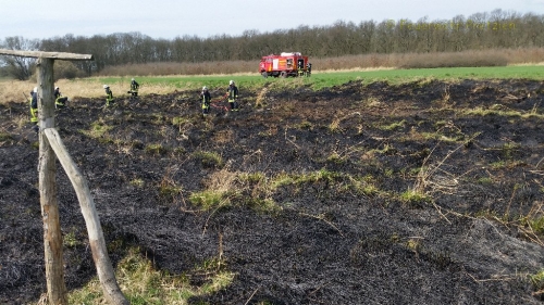 Grasnarbenbrand  bei Ranies am 11.04.2015_1