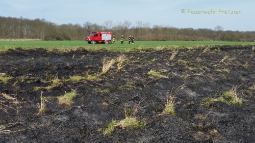 Grasnarbenbrand  bei Ranies am 11.04.2015_3