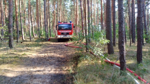 Waldbrand AWG-See_3