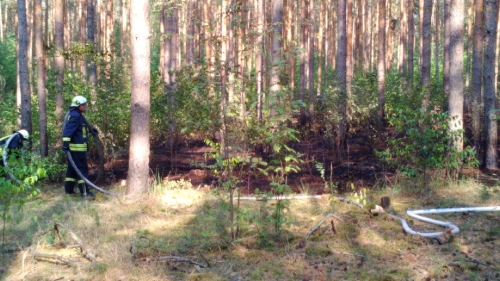 Waldbrand AWG-See_6
