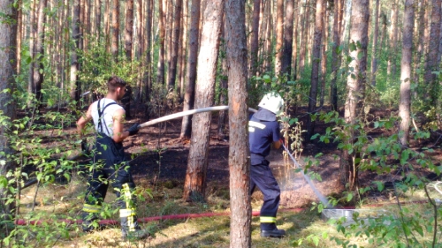 Waldbrand AWG-See_10