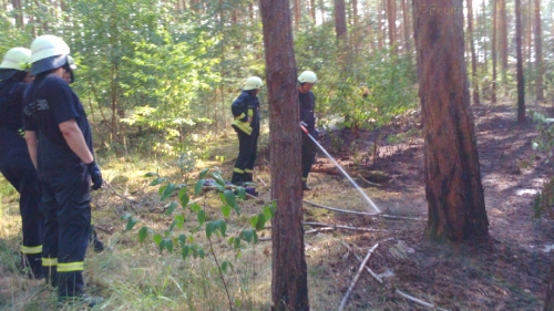 Waldbrand AWG-See_13