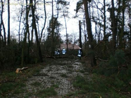Schadenslage nach Kyrill
